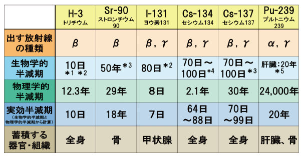 主な放射性物質の半減期と影響